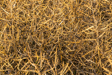 Similar image 6466748