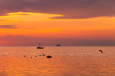 Similar image 6466757