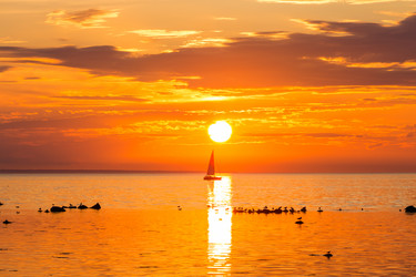 Similar image 6466758