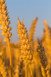 Similar image 6466759