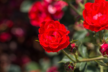 Similar image 6466765