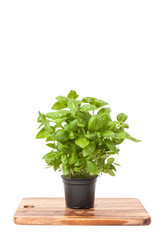 Similar image 6466782