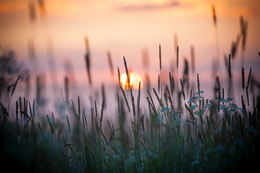 Similar image 6466804