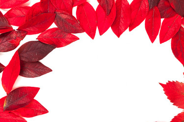 Similar image 6466811