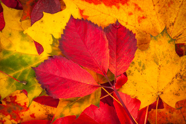 Similar image 6466812