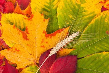 Similar image 6466813