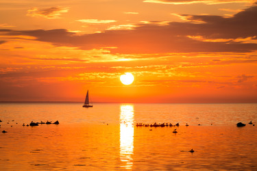 Similar image 6466816