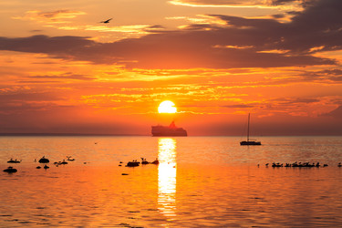 Similar image 6466817