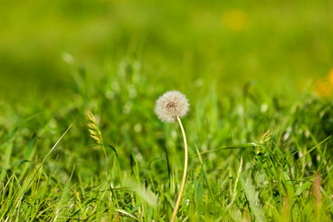 Similar image 6466859