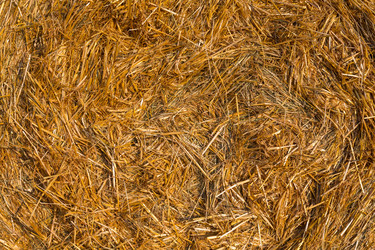 Similar image 6466880