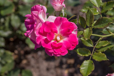 Similar image 6466894