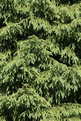 Similar image 6466898