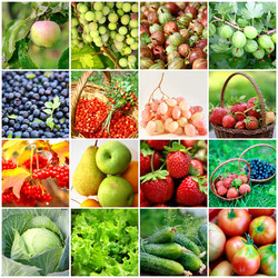 Similar image 6467344