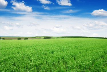 Similar image 6467351