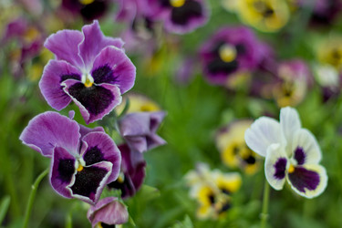 Similar image 6467355