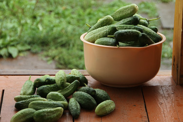 Similar image 6467359