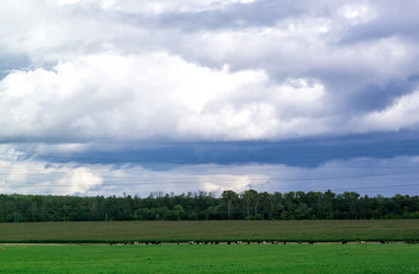 Similar image 6467361