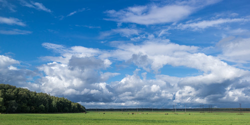 Similar image 6467363