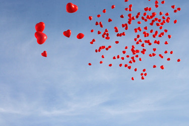 Similar image 6467390