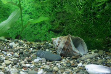 Similar image 6467393