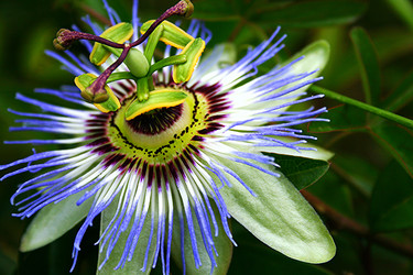 Similar image 6467396