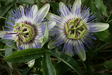 Similar image 6467397