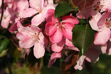 Similar image 6467401