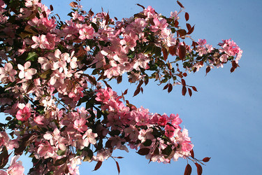 Similar image 6467402