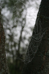 Similar image 6467403