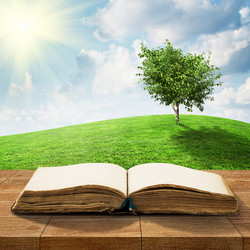 Similar image 6467433