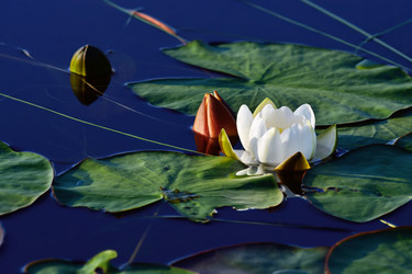 Similar image 6474752