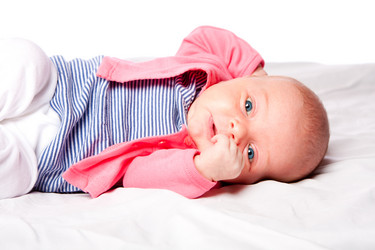 Similar image 6474767