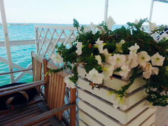 Similar image 6474771