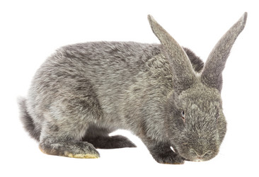 Similar image 6474780