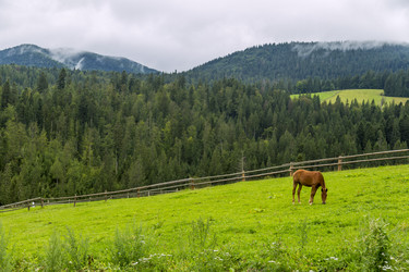 Similar image 6474784