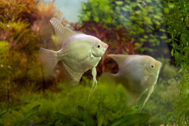 Similar image 6474786