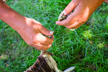 Similar image 6474875