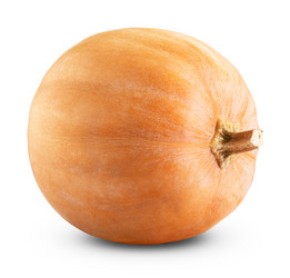 Similar image 6474903