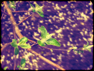 Similar image 6474920