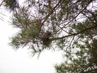 Similar image 6474928