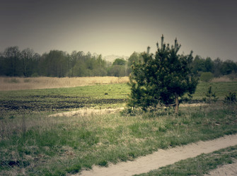 Similar image 6474936