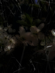 Similar image 6474950