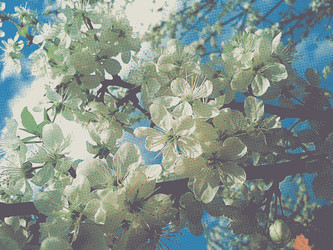 Similar image 6474952