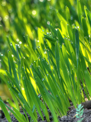 Similar image 6474959