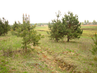 Similar image 6474974