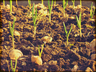 Similar image 6474975