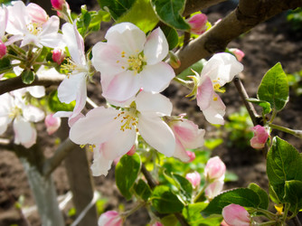 Similar image 6474979