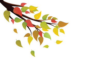 Similar image 6474986