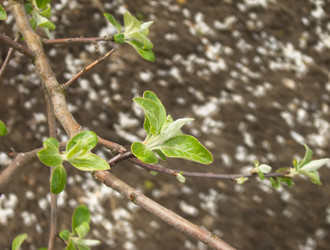 Similar image 6474987