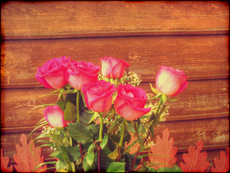 Similar image 6474990